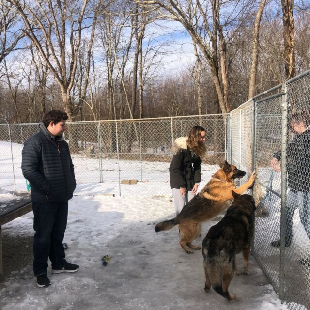 It's time for spring internships! All full year Dynamy students get the opportunity at the start of the spring semester to try out a second internship location. 

Starwood Pet Resort is the perfect internship for animal lovers! 

#Dynamy #dynamyinternshipyear #Starwood #Worcesterma #internships #animalinternship #animalcare